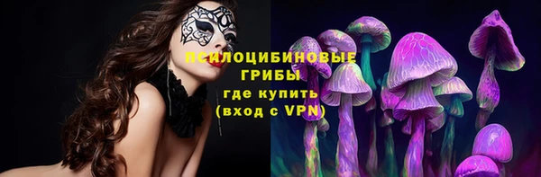 шишки Баксан