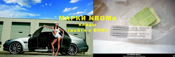 шишки Баксан