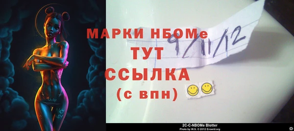 шишки Баксан