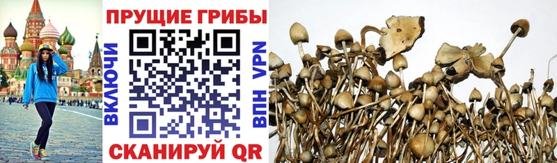 Галлюциногенные грибы прущие грибы  Нягань 