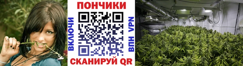 как найти закладки  ссылка на мегу как зайти  Каннабис конопля  Нягань 